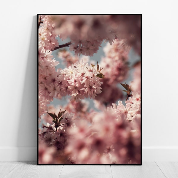 Kirschblüten Wandbild Fine Art Fotografie Blumen Poster Botanik Print Natur Wandkunst Florale Wohndeko für Wohnzimmer Schlafzimmer Büro