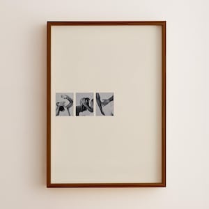 Pode incluir: Uma obra de arte emoldurada com três pequenas fotografias a preto e branco. As imagens retratam figuras humanas, com foco em braços e mãos em várias poses. A moldura é castanha escura e o fundo é bege neutro.