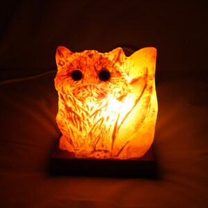 Cat shaped salt lamp outlet