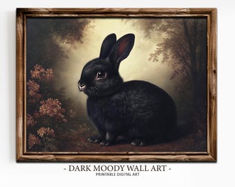 BLACK RABBIT めるる フォトブック ━━━ ✦ 新商品のお知らせ ✦ ━━━ カプセルトイ・ボックストイ