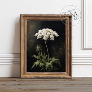 Queen Anne’s Lace druckbare Kunst, dunkler launischer botanischer Blumendruck, digitaler Download