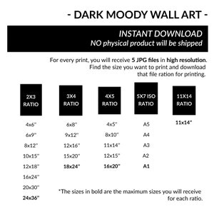 May include: A chart showing different aspect ratios for digital art prints. The chart lists the ratios 2x3, 3x4, 4x5, 5x7 ISO, and 11x14. Each ratio has a list of corresponding sizes in inches, with the largest size in bold. The chart also includes standard paper sizes A5, A4, A3, A2, and A1.