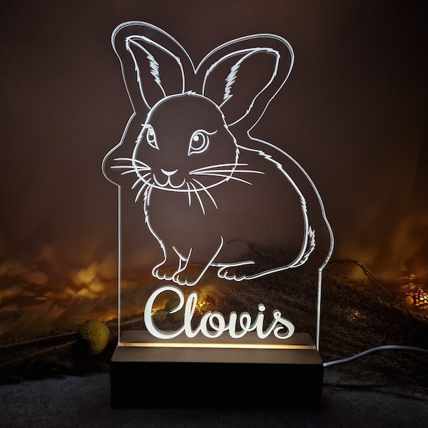 Veilleuse, lampe de table (acrylique et LED) personnalisable - Lapin - prénom - chambre d'enfant