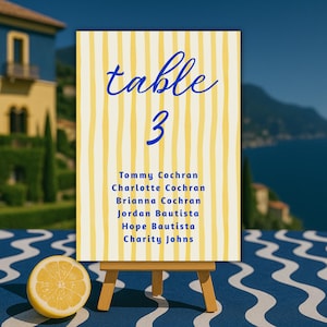 Wedding Seating Chart Cards 4x6, Name Seat Plan 5x7, Italian Style Printable Guest Table Template, For Mirror, INSTANT DOWNLOAD, dolce vita