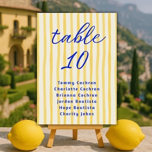 Wedding Seating Chart Cards 4x6, Name Seat Plan 5x7, Italian Style Printable Guest Table Template, For Mirror, INSTANT DOWNLOAD, dolce vita