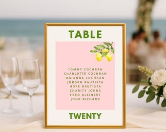 Wedding Seating Chart Cards 4x6, Name Seat Plan 5x7, Italian Style Printable Guest Table Template, For Mirror, INSTANT DOWNLOAD, dolce vita