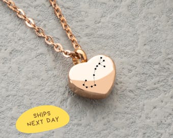 Custom Scorpio Heart Necklace, Personalized Zodiac Jewelry, Ash Holder, Memorial Gift, Stainless Steel Pendant