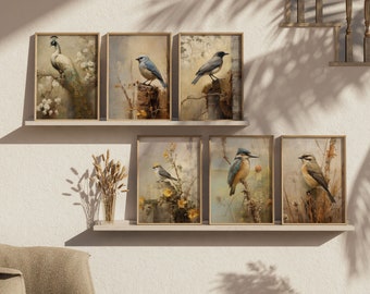 Vintage Aesthetic Bird Painting Vintage Farmhouse Decor Antique Bird Wall Art Nursery Wall Decor Digital Download