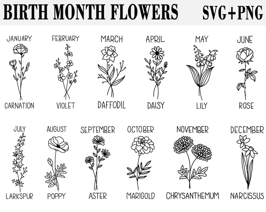Birth Month Flowers Bouquet Svg Bundle Botanical Birthday Minimal