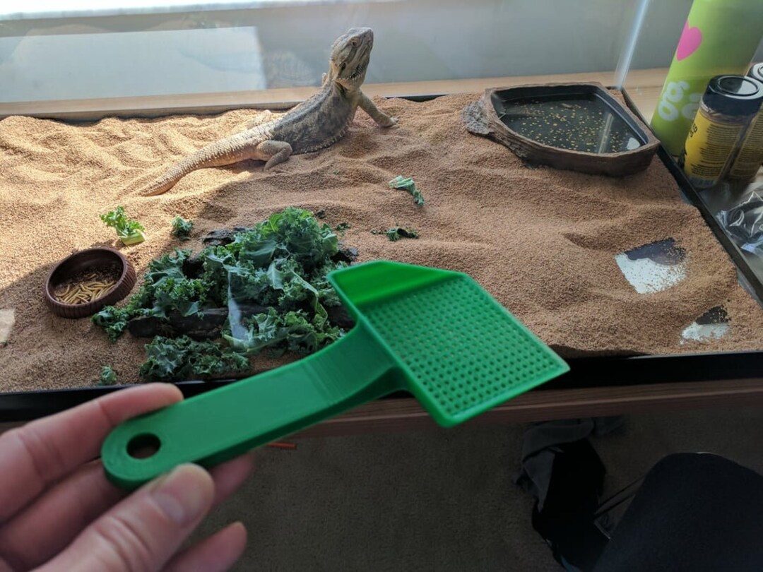 Bearded Dragon Pooper Scooper Etsy