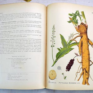 American Medicinal Plants: An Illustrated and Descriptive Guide to Plants Indigenous to and Naturalized in 1905