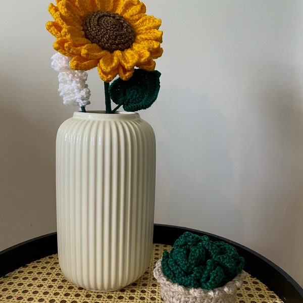 Crochet Handmade Succulent Coaster Set