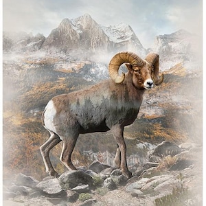 Peut inclure: Un mouflon majestueux se dresse sur un terrain rocheux, ses grandes cornes incurvées bien en évidence. Le pelage de l'animal est un mélange de brun et de blanc, avec une superposition subtile d'une scène de forêt. L'arrière-plan présente des montagnes enneigées et un ciel brumeux.