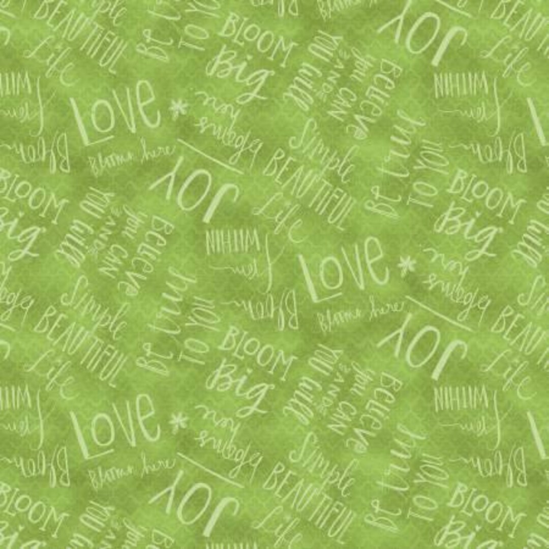 WP 54564-777 Believe You Can TOT Words Green - Etsy