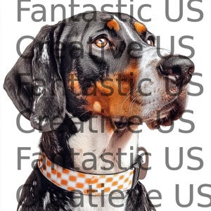 Instant Download Bluetick Coonhound Checkerboard Collar Including JPEG, SVG and PNG Files Perfect for Sublimation