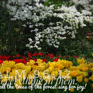 Psalm 96:12