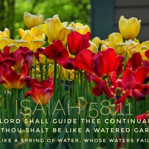 Isaiah 58:11