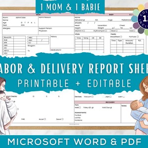 1 Mutter und 1 Baby, Krankenschwester-Gehirnblatt, L&D, 1-2 Patientinnen, Bachelor Nurse, Microsoft Word, PDF