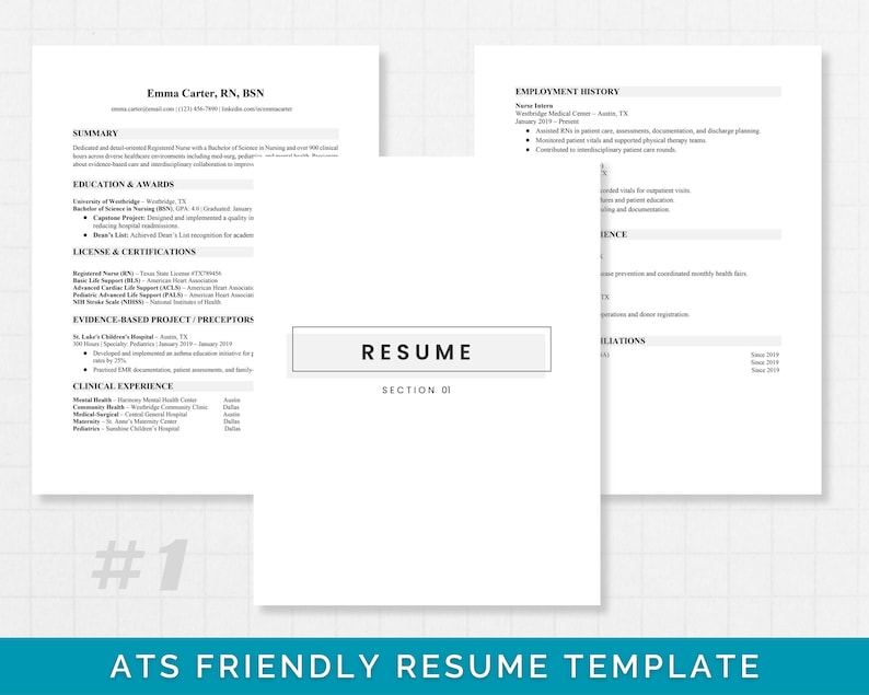 Nurse Portfolio Template, Resume CV Template, Registered Nurse, Nursing ...