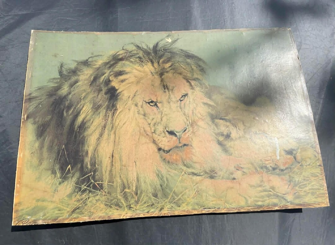 Pear Computer Language Lion Pears Soap Advertisement Sign - Lions - AS IS - Etsy