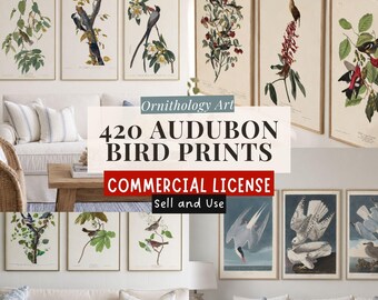 420 Digitally Restored Vintage Bird Prints, Audubon Ornithology Wall Art Bundle, Commercial Use Printable Collection
