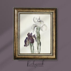 Wall Art Printable Iris Flower Painting French Country Botanical Watercolor Print Vintage Style Floral Artwork Scandi Flower Art Decor OK21