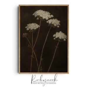 Vintage Queen Anne’s Lace Botanische Kunst Druck Dunkel Blumen Wand Dekor Große Wildblumen Printable für Cottagecore oder rustikale Innenräume A5