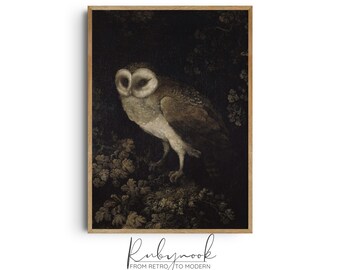 Owl Wall Art Printable Vintage Bird Print for Dark Academia Decor Animal Poster for Rustic Home Office Living Room or Gallery Wall K100
