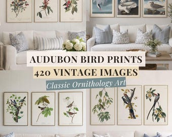 Audubon Bird Prints Bundle Set of 420 Vintage Bird Wall Art Printable Ornithology Gallery Wall Cottagecore Coastal Farmhouse Decor