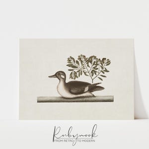 Arte de pared imprimible vintage con pájaros, botánico, neutro, decoración natural para sala de estar, póster rústico de pájaros, arte de pared estilo cottagecore, decoración del hogar K72