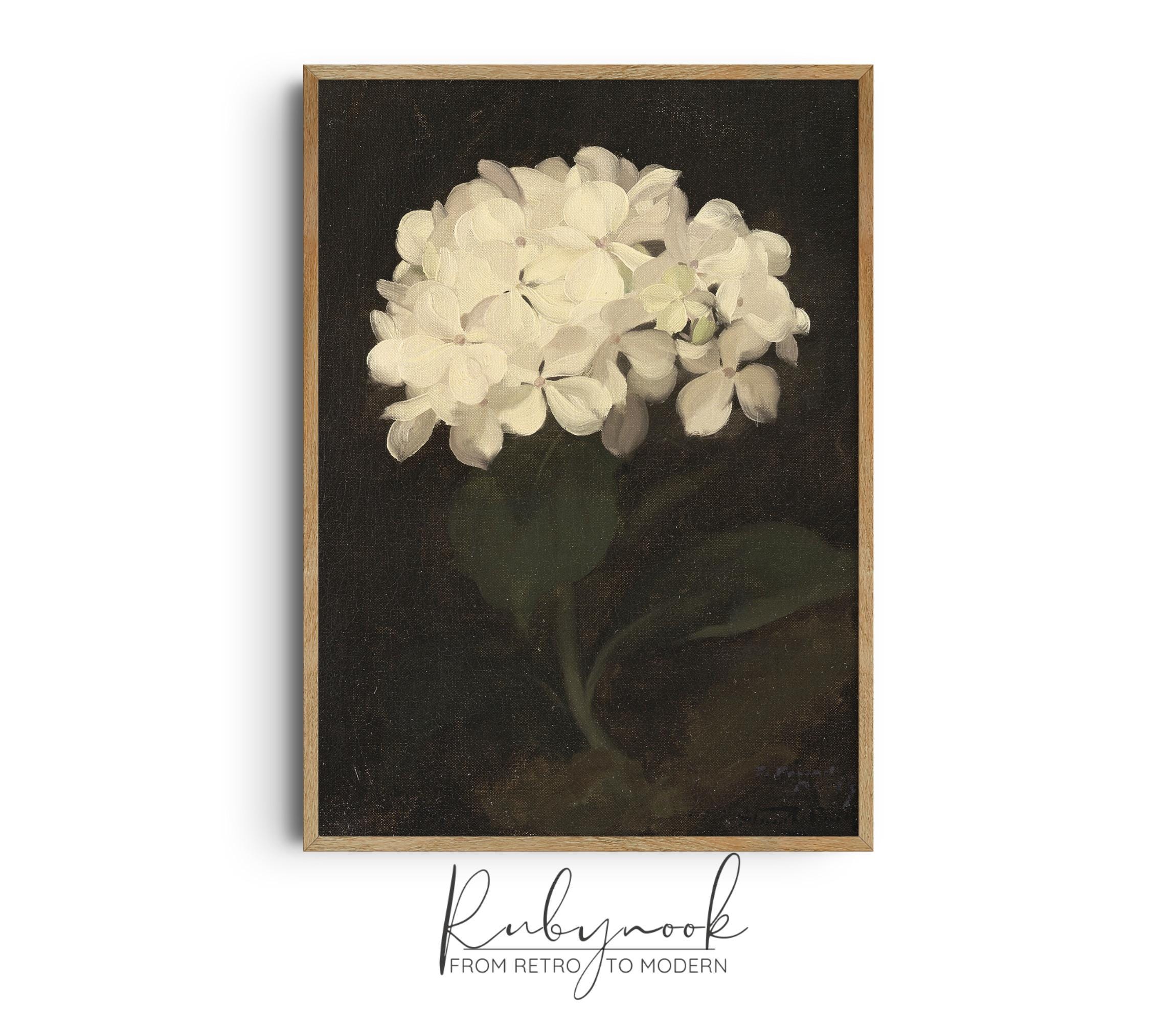 Flower Printable Wall Art White Hydrangea Vintage Botanical Floral ...