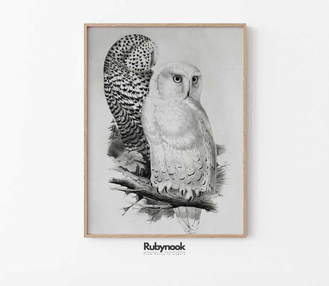 PRINTABLE Snowy Owl Illustration Art Print Black and White Bird Wall ...