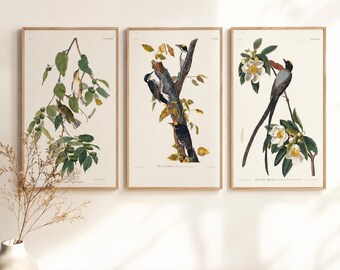 Audubon Bird Prints Bundle Set of 420 Vintage Bird Wall Art Printable Ornithology Gallery Wall Cottagecore Coastal Farmhouse Decor