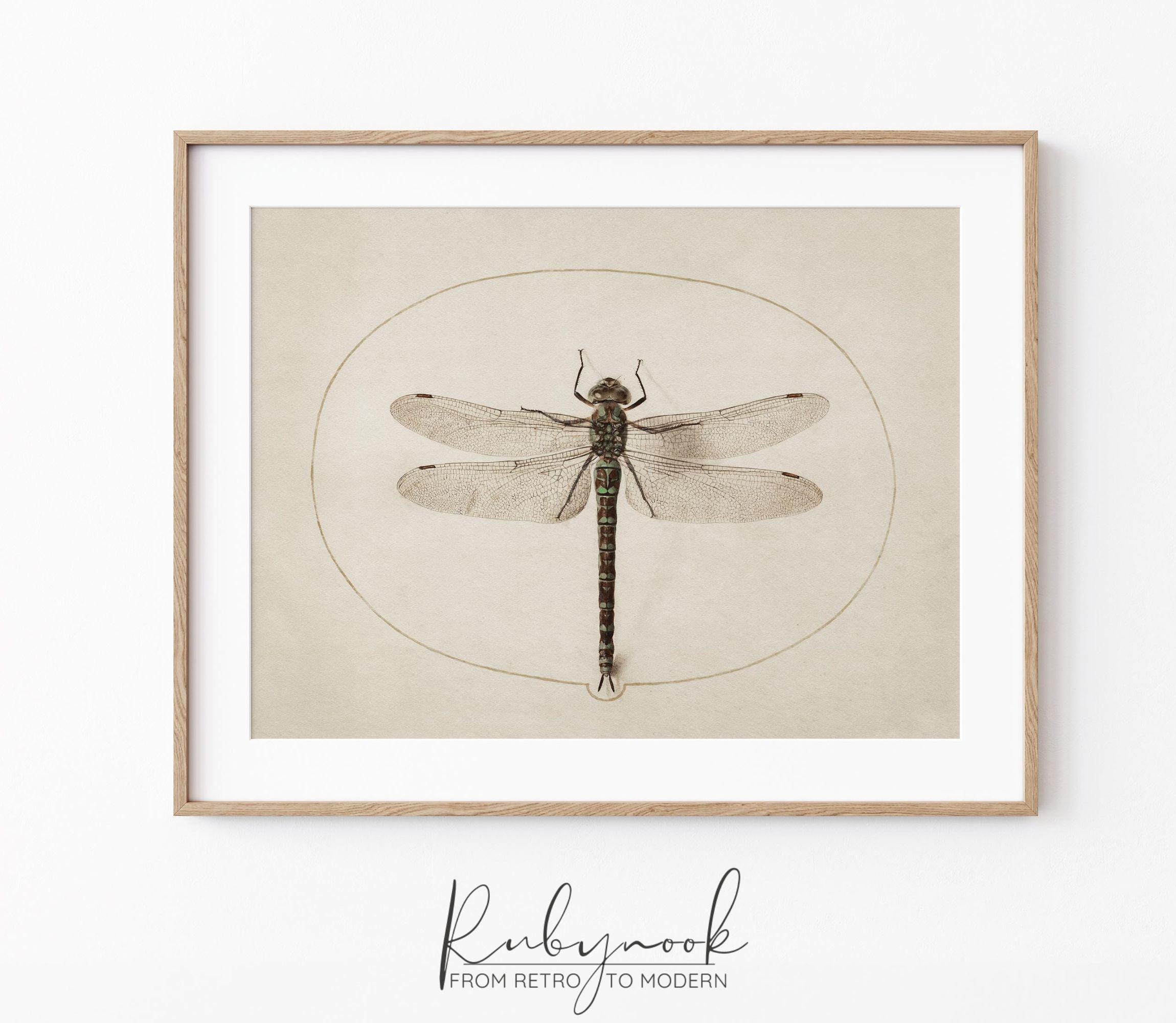 Vintage Dragonfly Wall Art Scientific Insect Illustration Print Minimal ...
