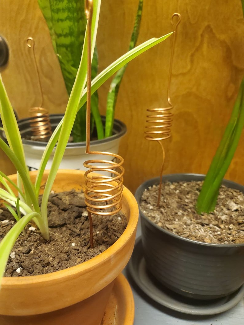12 Spiral Copper Antennas for Electroculture for Healthy Indoor Plants