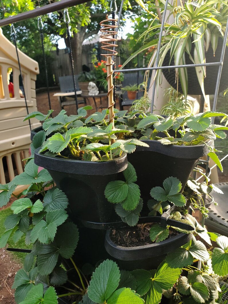 18 Spiral Copper Antennas for Electroculture for Healthy Indoor Plants and Garden Plants Etsy