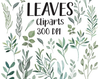Watercolor Leaves Clipart, Green Leaves Clipart, Green Leaf Clipart, Leaf Clipart, Leaves Clipart, Leaf Variety, Watercolor Greenery