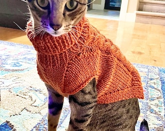 May include: A tabby cat wearing an orange knitted sweater with a turtleneck collar. The cat is sitting on a patterned blue rug. The sweater is a warm, earthy tone, and the cat's fur has dark stripes.