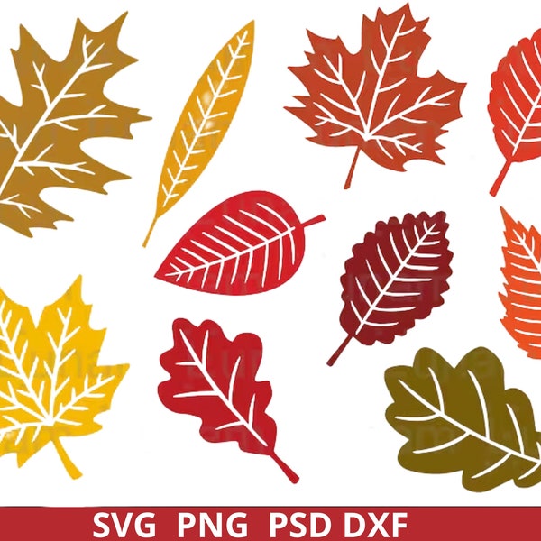 Autumn Leaves SVG Bundle - Fall Clipart, Cricut, Glowforge, Silhouette, and Halloween Cut Files