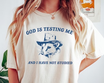 Comfort Colors God Is Testing Me And I Have Not Studied T Shirt Funny Meme Tee Shirt