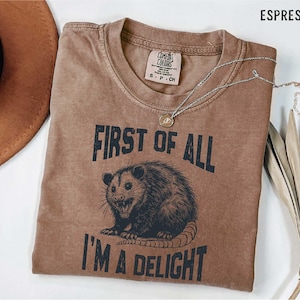 Funny Raccoon T-Shirt: Sarcastic Women's Tee