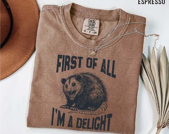 First of All I&#39;m a Delight T-Shirt, Funny Women&#39;s Shirt, Cute Raccoon Shirt, Sarcastic Shirt, Funny Saying Shirt