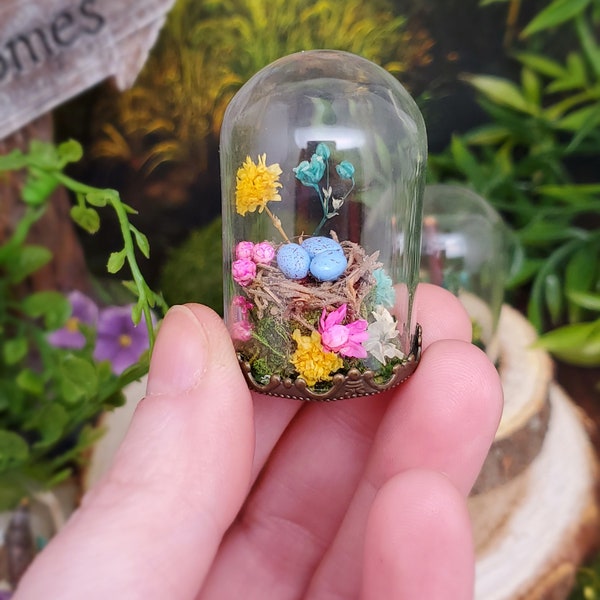 Miniature glass cloche, miniature nest, Diorama, Dollhouse terrarium, miniature diorama, Miniature butterfly