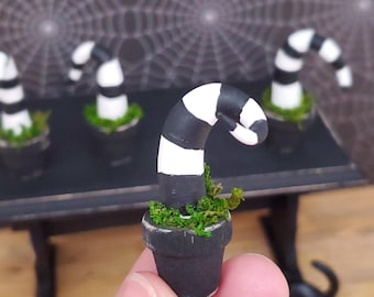 Miniature Halloween plant, Dollhouse Halloween plants, Dollhouse Halloween accessories