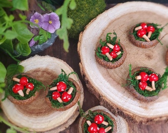 Miniature mushrooms, fairy garden mushrooms, fairy garden miniature