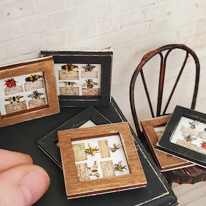May include: Miniature framed insect art pieces. Each frame is square with a wooden or black finish. The artwork features detailed illustrations of various insects, including bees and ladybugs, set against a vintage paper background.