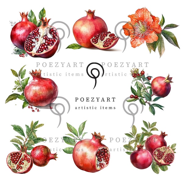 9 pomegranate flowers and pomegranates Clipart, PNGs, Commercial use, Digital Download, Watercolor , Digital Craft