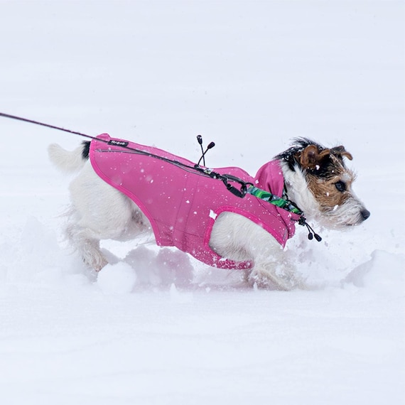 Hundemantel Mit Schal-Design Für Große Hunde – Fleece Gefüttert, Wasserabweisend, In Rosa, Größe XL