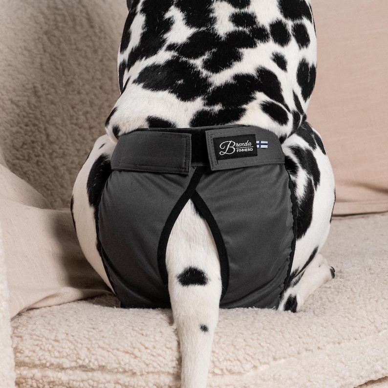 Hygiene Pants for Dogs, FINNERO BRENDA Washable Dog Diaper, Absorbent