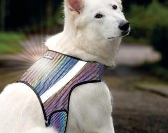 Rainbow Reflective Dog Vest - FINNERO GLOW High Visibility, Lightweight, Adjustable